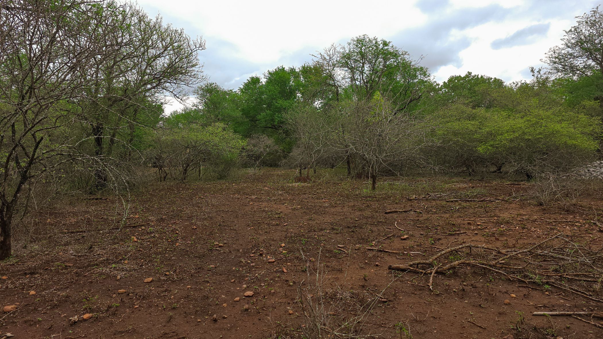 Vacant land for sale in Marloth Park - 1NK1723242