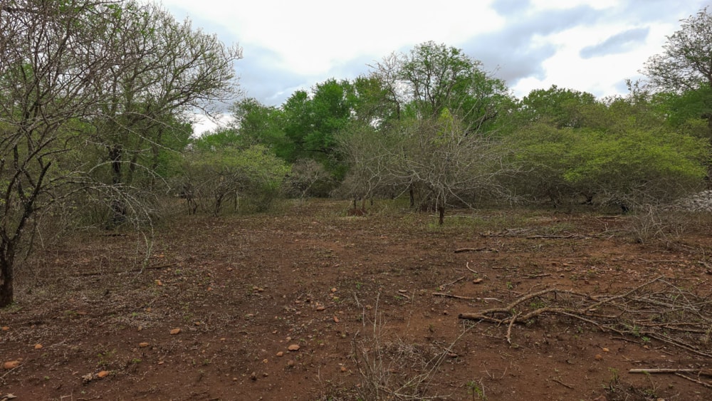 Vacant land for sale in Marloth Park - 1NK1723242 Vacant land for sale in Marloth Park - 1NK1723242