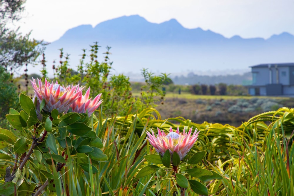 House for sale in Oubaai - GEO1723148 House for sale in Oubaai - GEO1723148