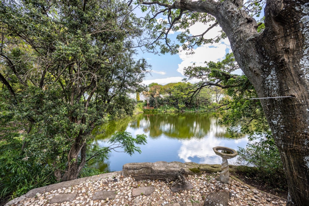 House for sale in Selborne - 1EZ1719995