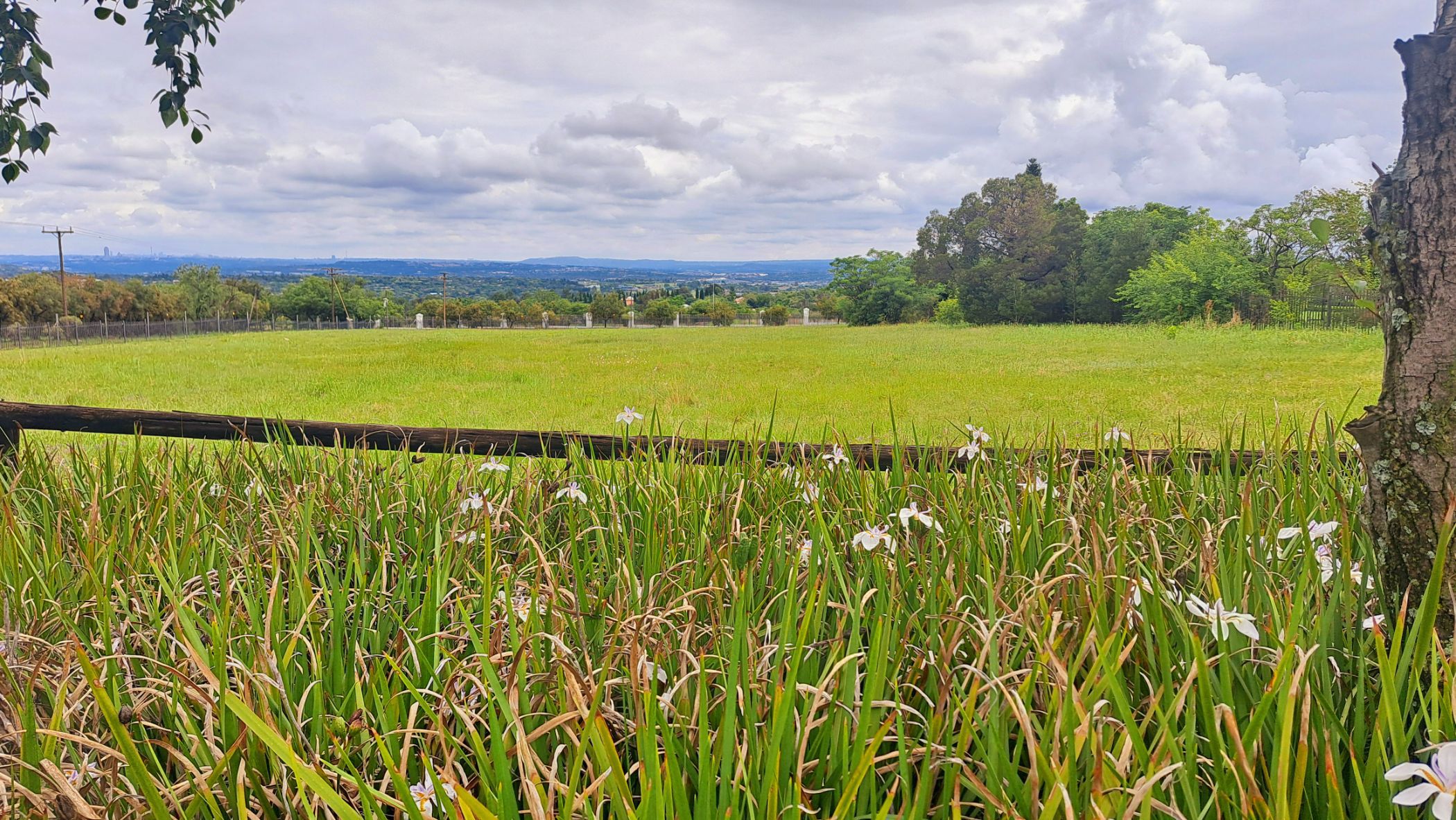 Vacant land for sale in Bridle Park - MR1721128