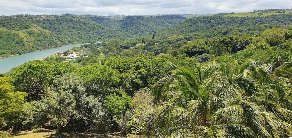 Apartment for sale in Banners Rest - 1PD1721771