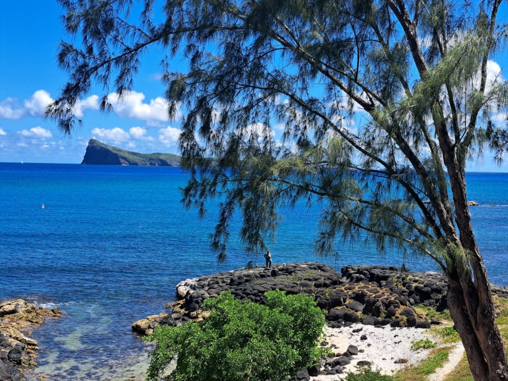 Apartment to rent in Cap Malheureux, Mauritius - MPR1595302