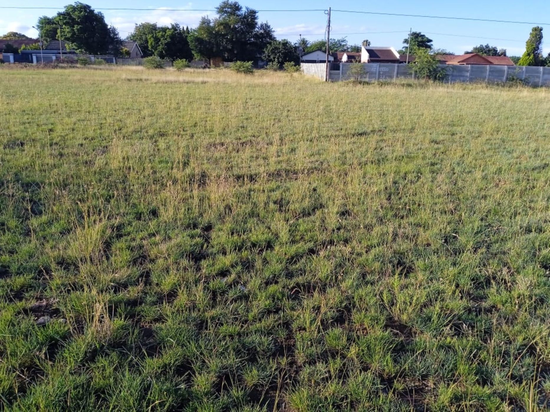 Residential vacant land for sale in Riebeeckstad, Welkom - 1WM1666402