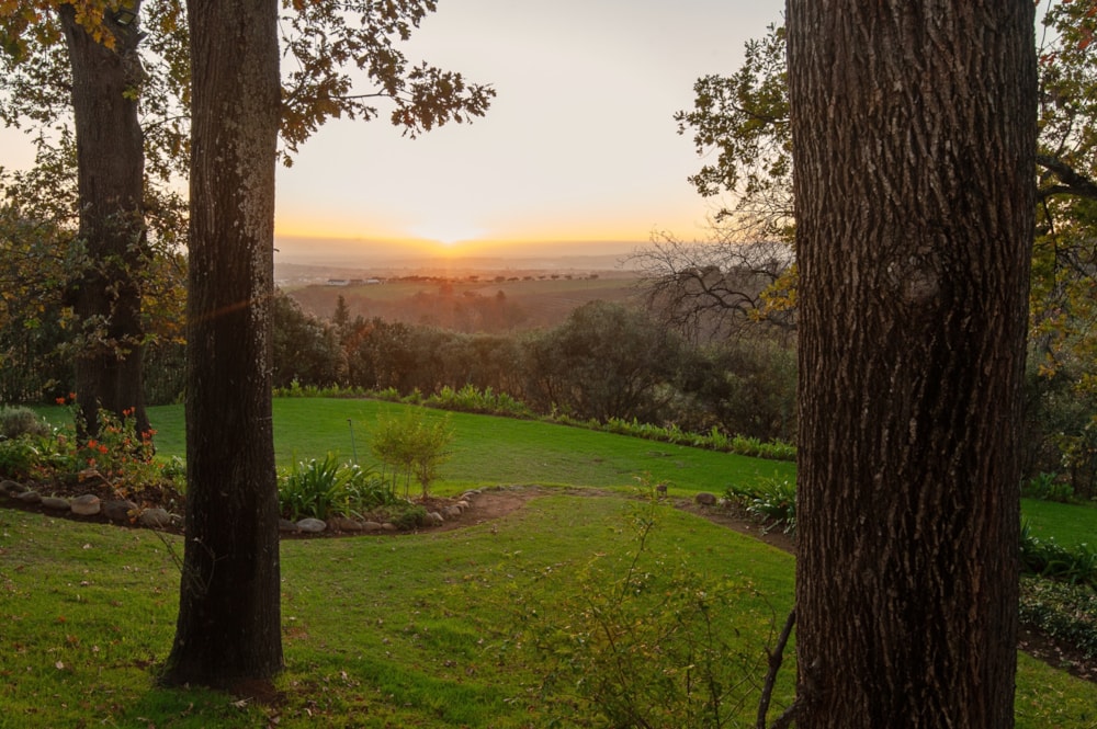 Lifestyle property for sale in Stellenbosch Farms - ST1722234