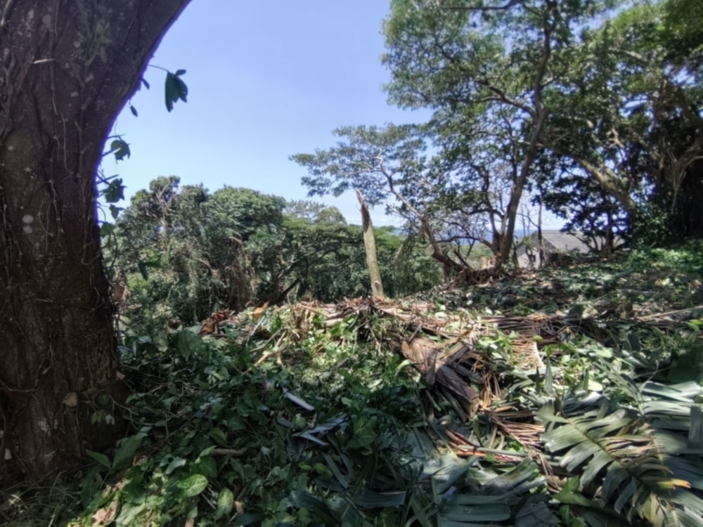 Vacant land for sale in Umtentweni - 1PSH1662466