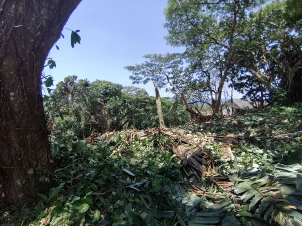 Vacant land for sale in Umtentweni - 1PSH1662466 Vacant land for sale in Umtentweni - 1PSH1662466