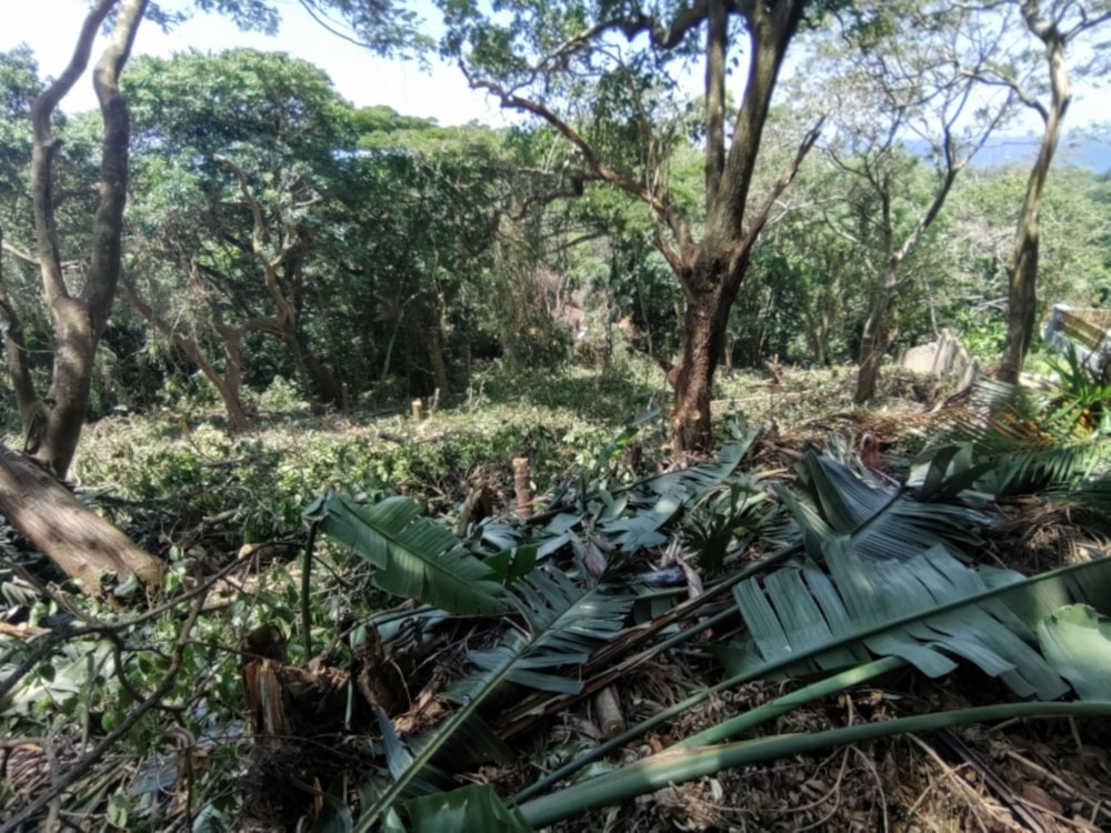 Vacant land for sale in Umtentweni - 1PSH1662466