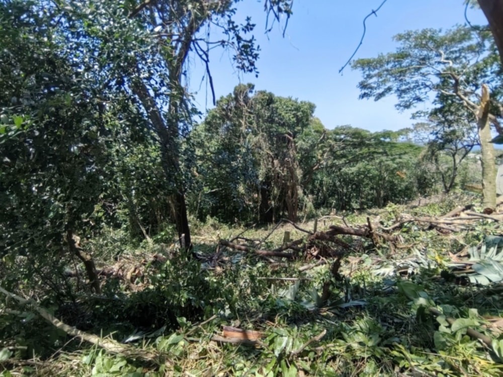 Vacant land for sale in Umtentweni - 1PSH1662466