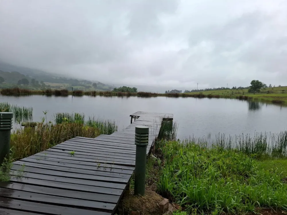 Mixed use farm for sale in Dullstroom - 1DS1722888 Mixed use farm for sale in Dullstroom - 1DS1722888