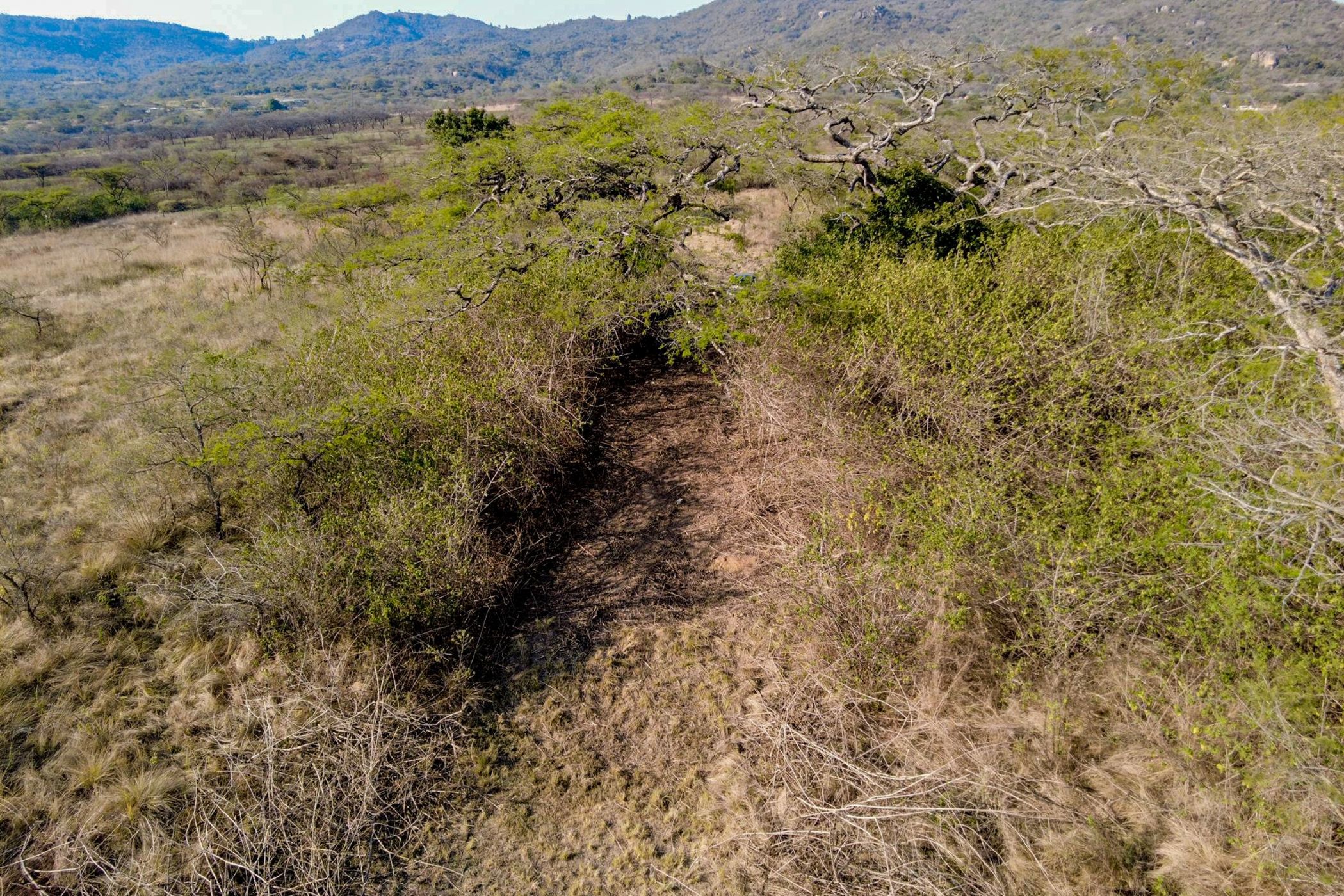 Farm vacant land for sale in Nelspruit (Mbombela) - 1NS1721983