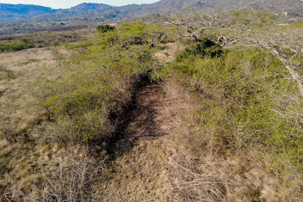 Farm vacant land for sale in Nelspruit (Mbombela) - 1NS1721983