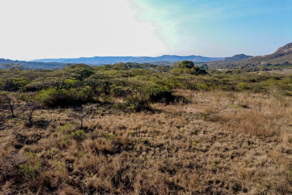 Farm vacant land for sale in Nelspruit (Mbombela) - 1NS1721983