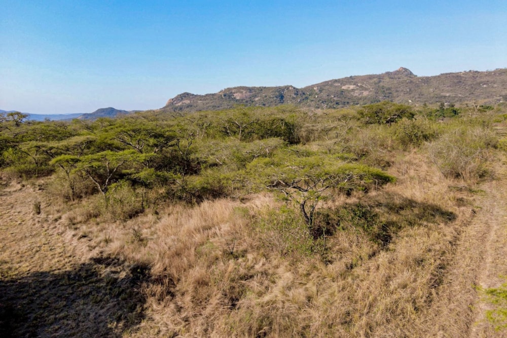 Farm vacant land for sale in Nelspruit (Mbombela) - 1NS1721983