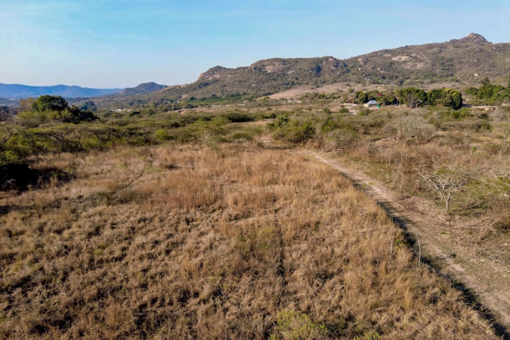 Farm vacant land for sale in Nelspruit (Mbombela) - 1NS1742297 Farm vacant land for sale in Nelspruit (Mbombela) - 1NS1742297