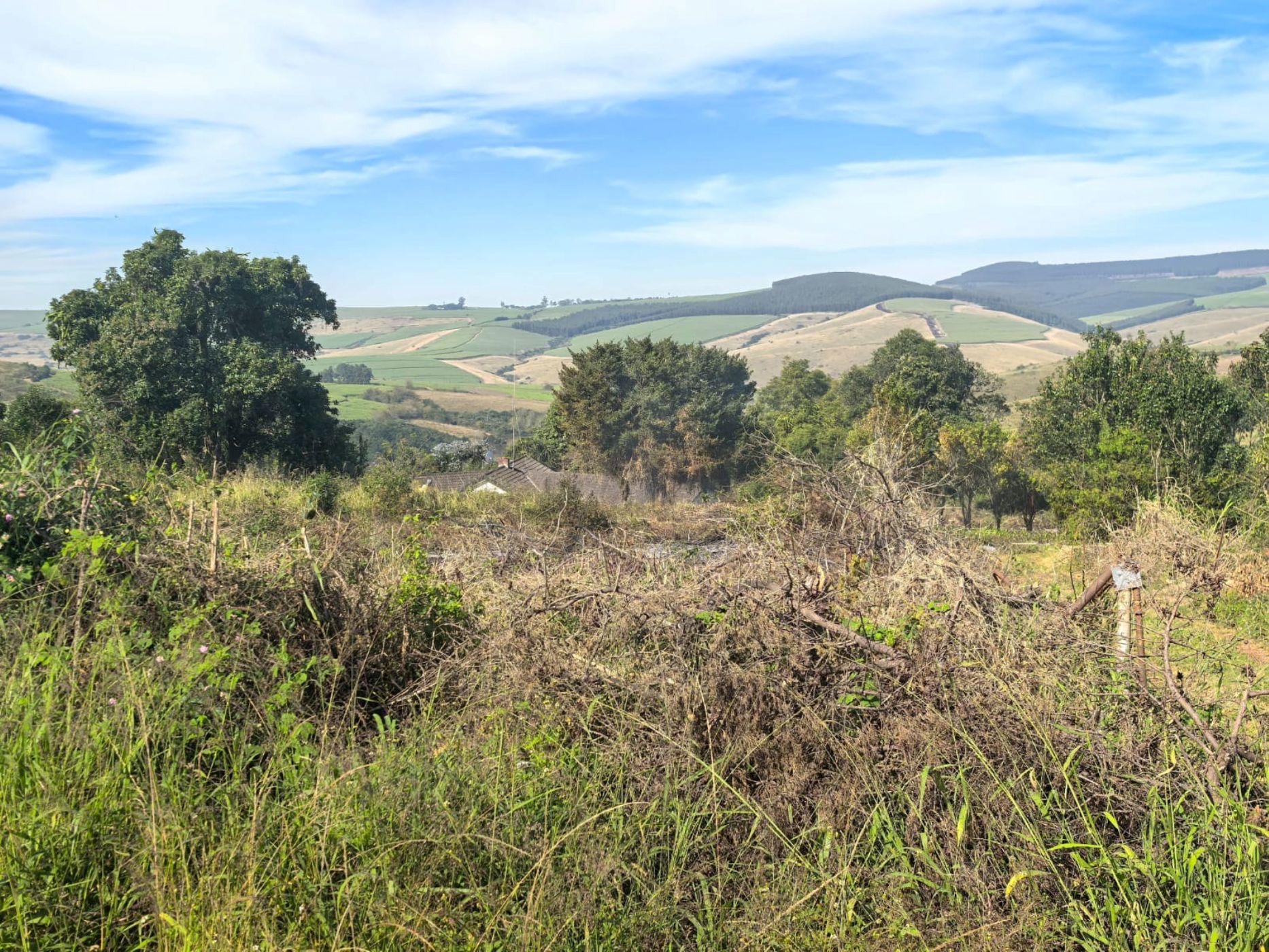 Mixed use farm for sale in Richmond, Midlands, Rural - 1PM1722419