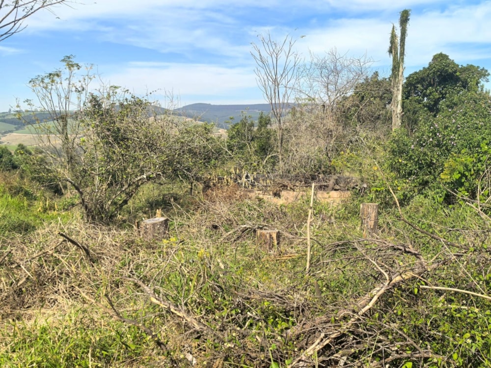 Mixed use farm for sale in Richmond, Midlands, Rural - 1PM1722419