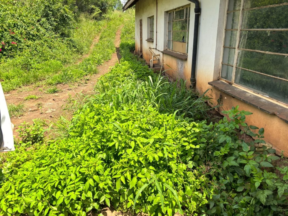 Mixed use farm for sale in Richmond, Midlands, Rural - 1PM1722419