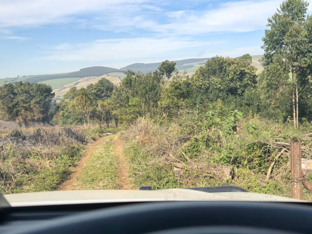 Mixed use farm for sale in Richmond, Midlands, Rural - 1PM1722419