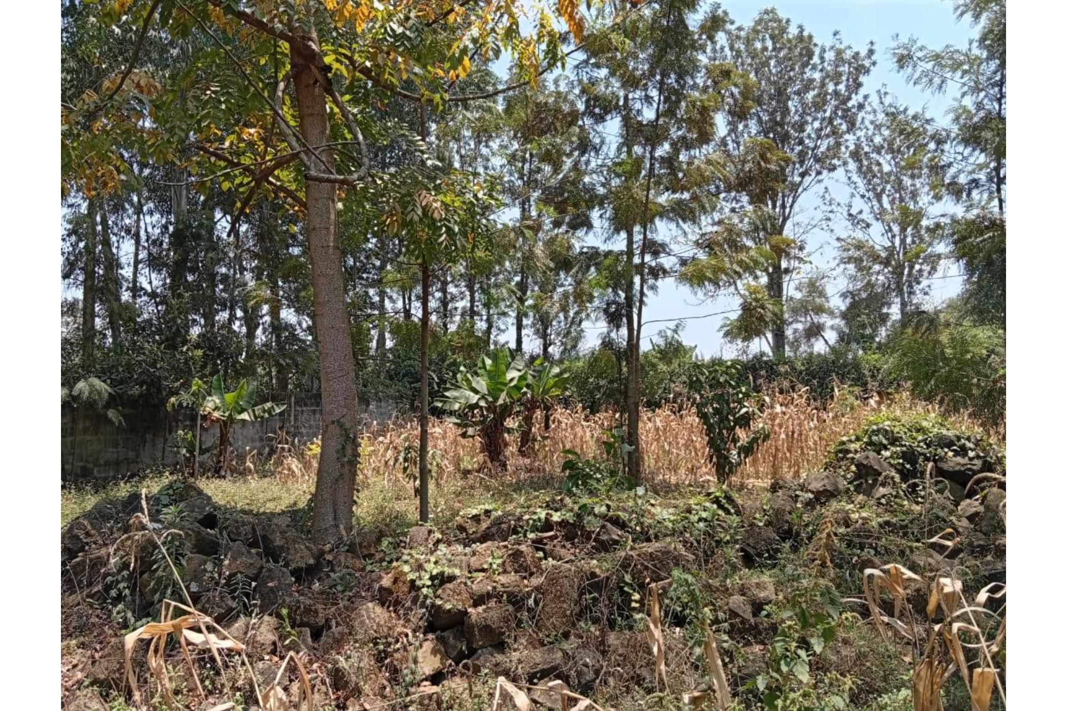 Residential vacant land for sale in Garden Estate, Kenya - 3KE1714953