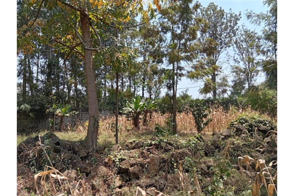 Residential vacant land for sale in Garden Estate, Kenya - 3KE1714953