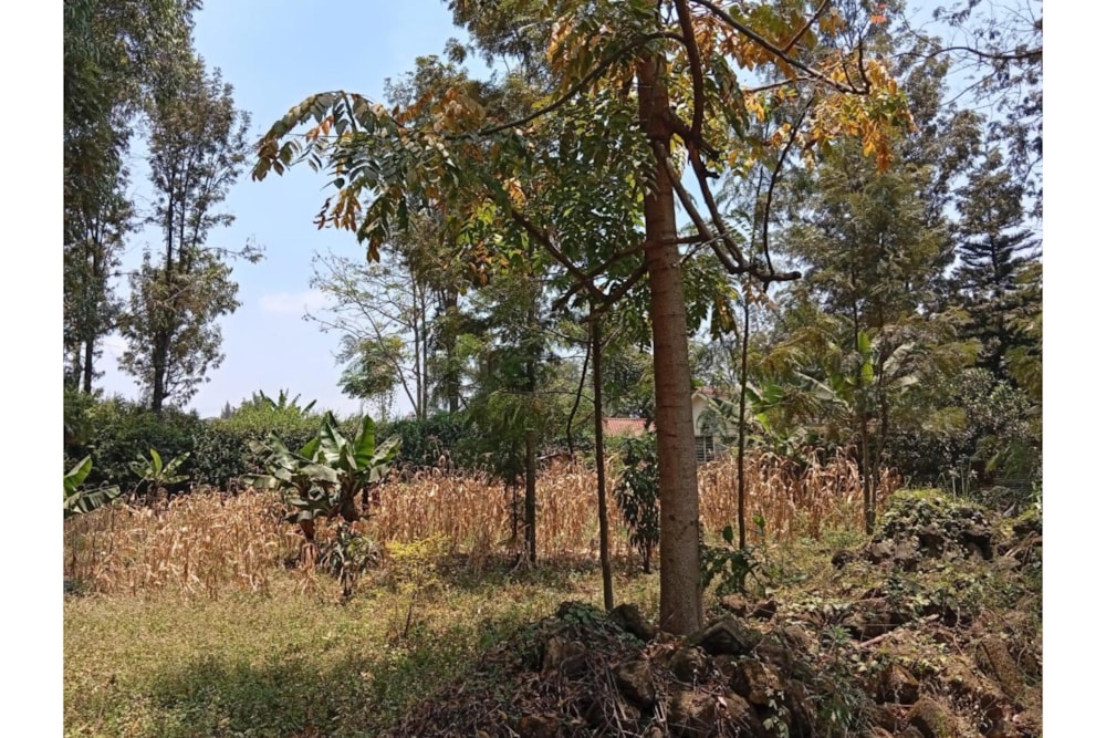 Residential vacant land for sale in Garden Estate, Kenya - 3KE1714953