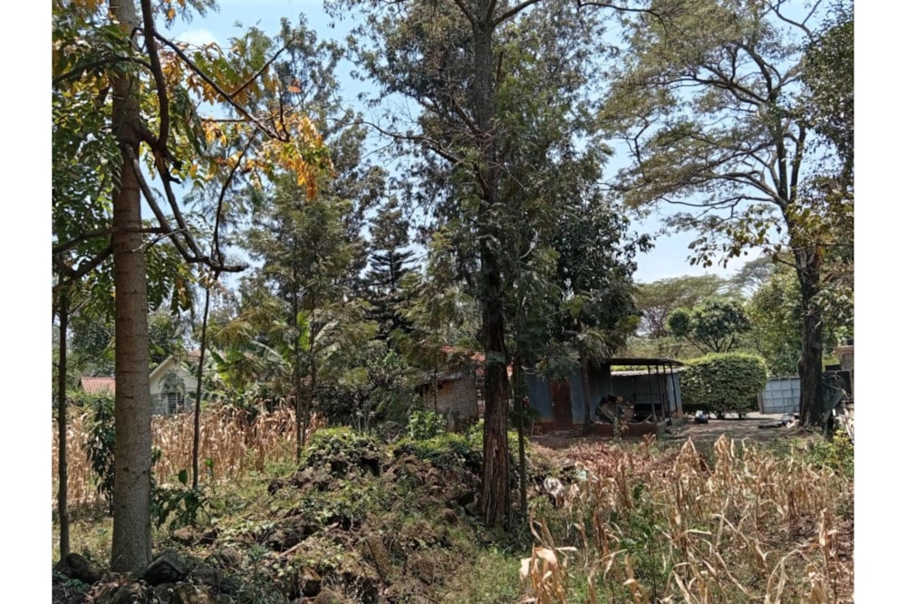 Residential vacant land for sale in Garden Estate, Kenya - 3KE1714953