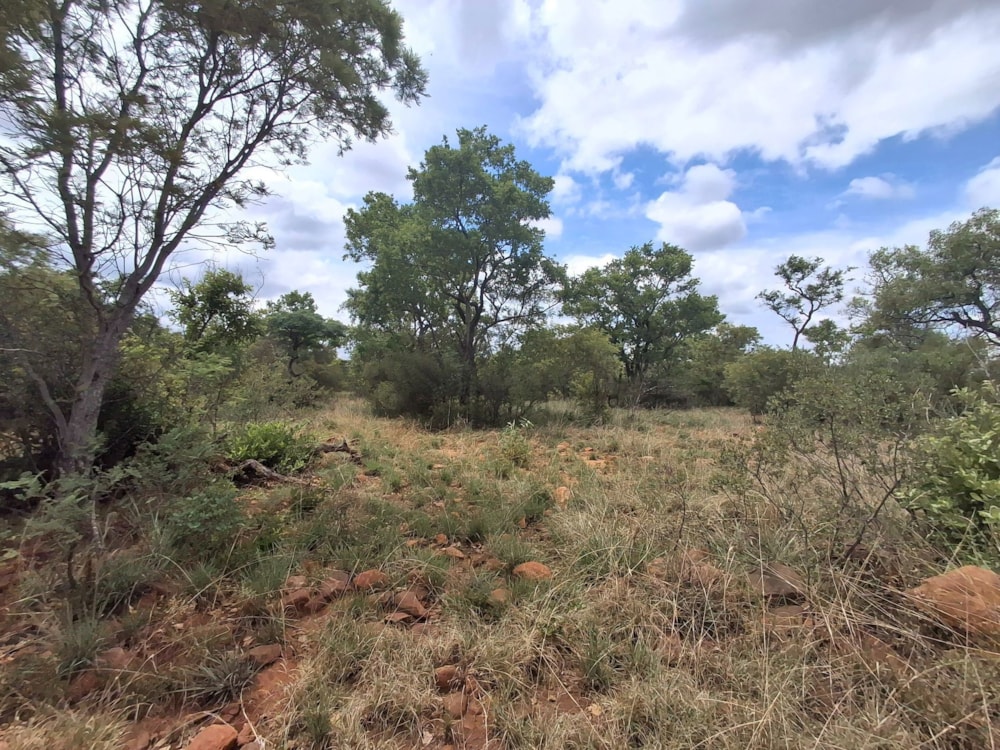 Livestock farm for sale in Zeerust - 1RU1715296 Livestock farm for sale in Zeerust - 1RU1715296