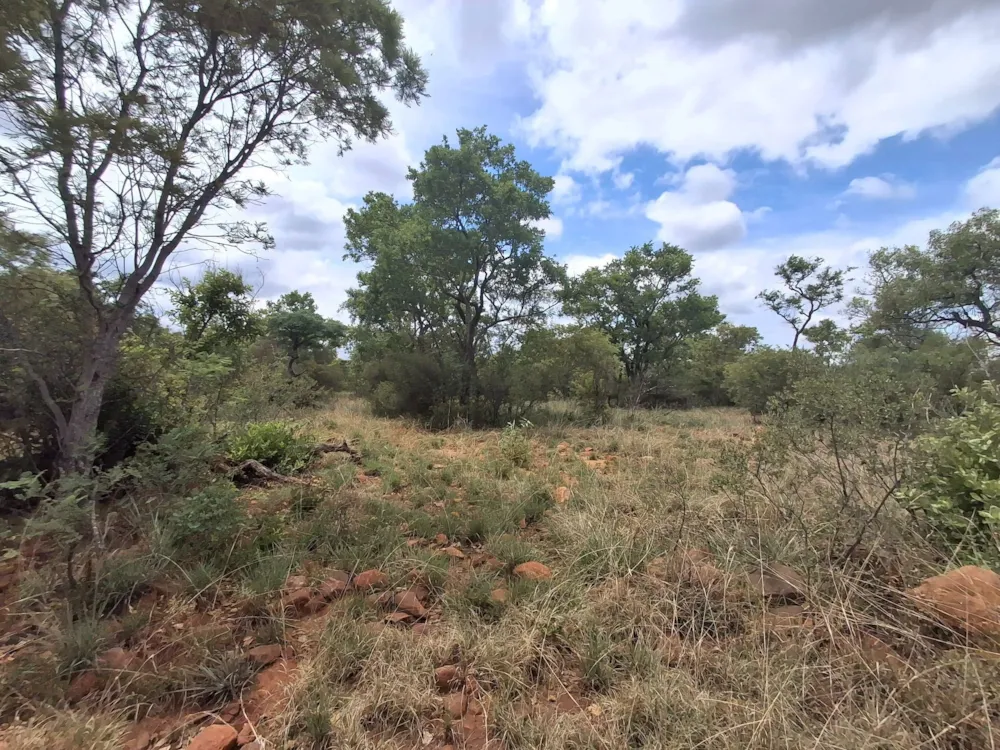 Livestock farm sold in Zeerust - 1RU1715296 Livestock farm sold in Zeerust - 1RU1715296