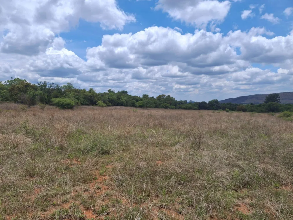 Livestock farm sold in Zeerust - 1RU1715296 Livestock farm sold in Zeerust - 1RU1715296