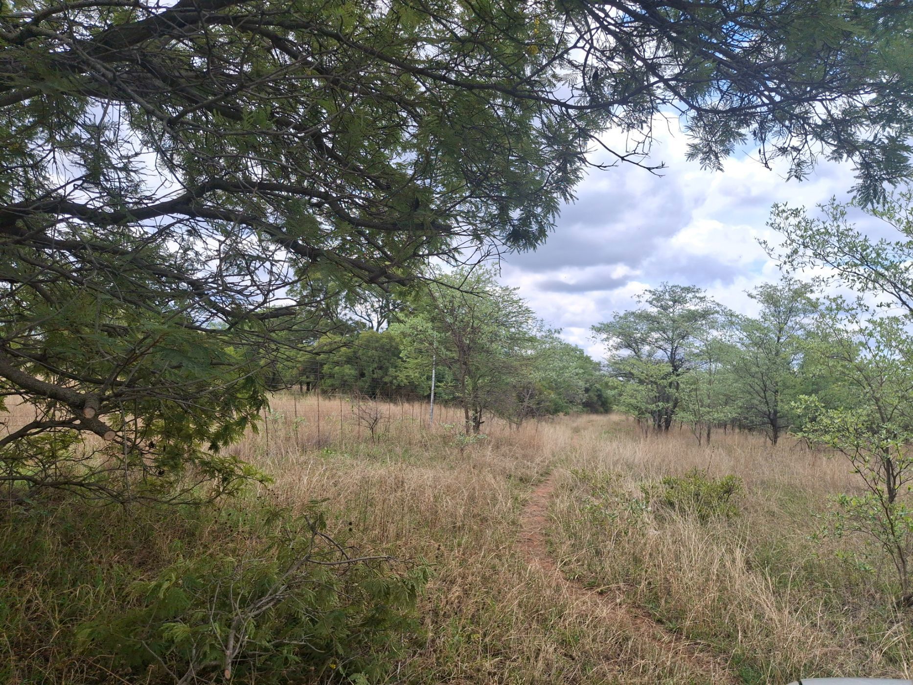 Livestock farm for sale in Zeerust - 1RU1715296