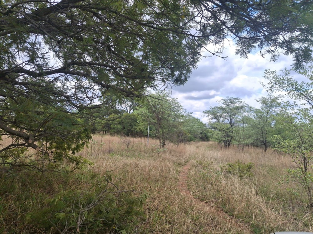 Livestock farm for sale in Zeerust - 1RU1715296