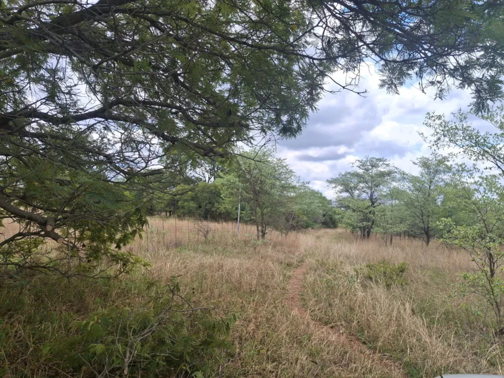 Livestock farm sold in Zeerust - 1RU1715296 Livestock farm sold in Zeerust - 1RU1715296