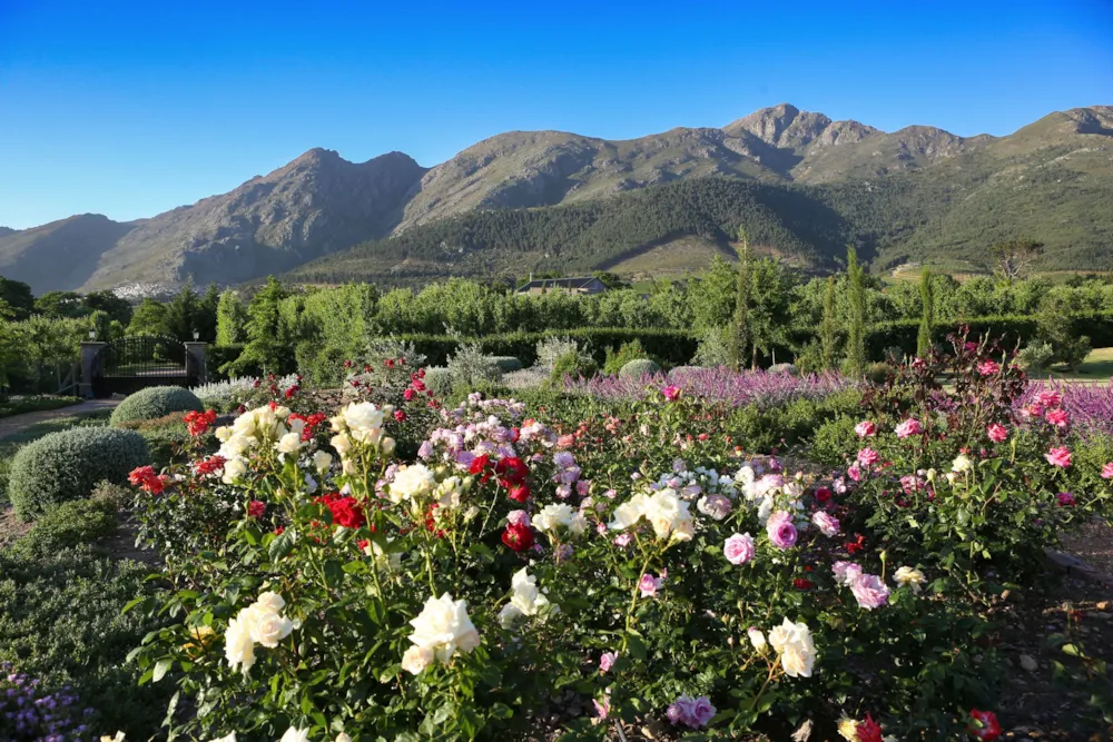 Double-storey house to rent in Franschhoek - FWL1718356 Double-storey house to rent in Franschhoek - FWL1718356