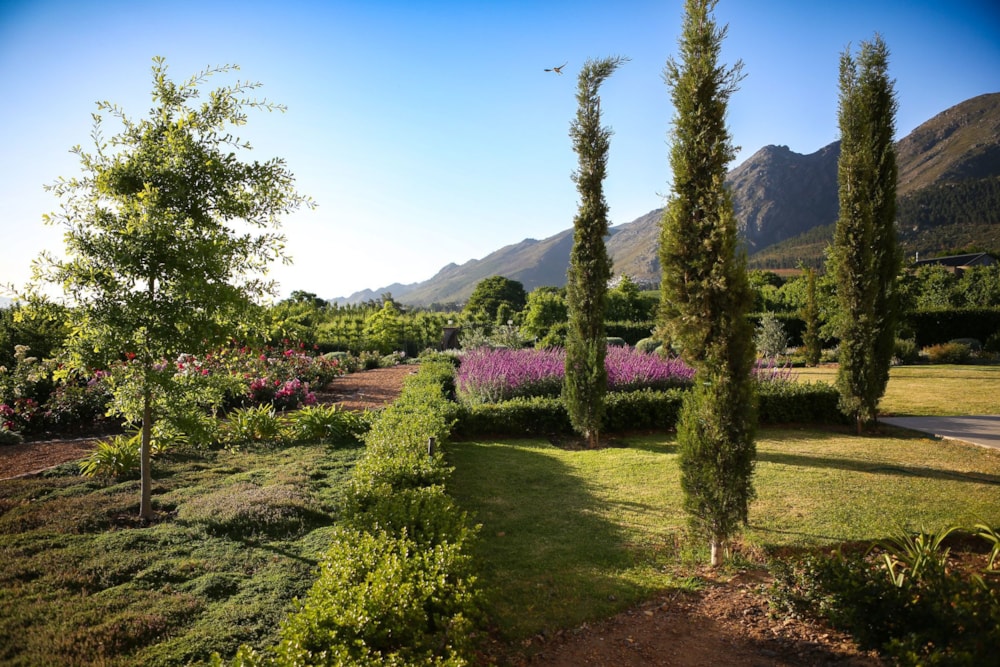 Double-storey house to rent in Franschhoek - FWL1718356 Double-storey house to rent in Franschhoek - FWL1718356