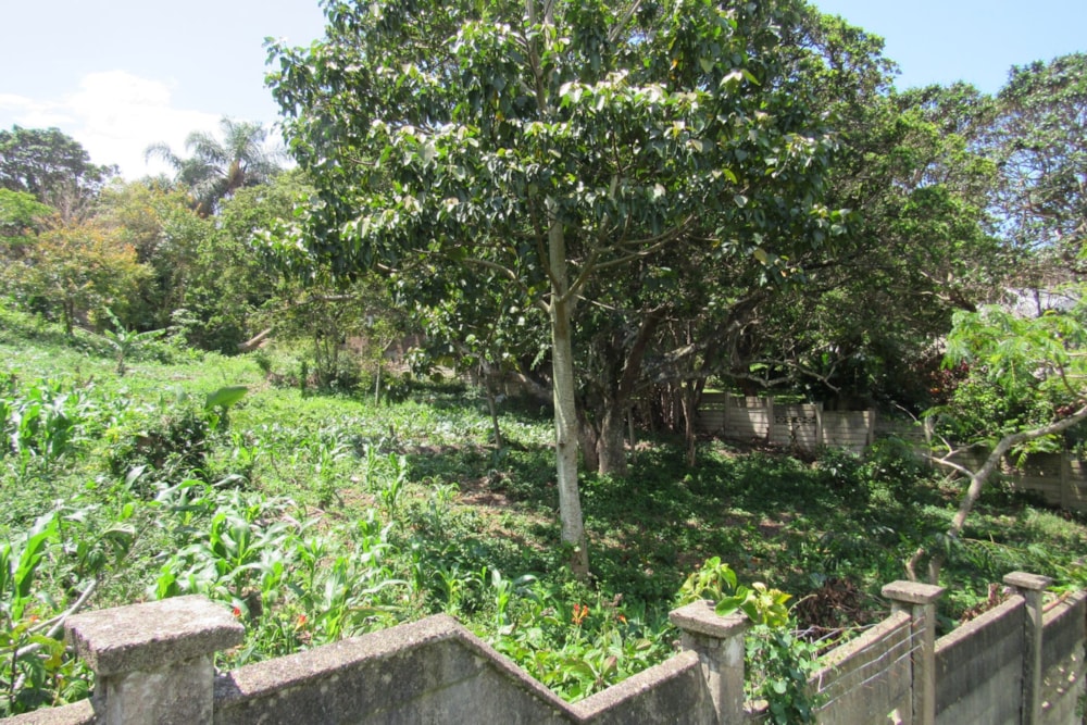 Residential vacant land for sale in Margate - 1PSH1720776