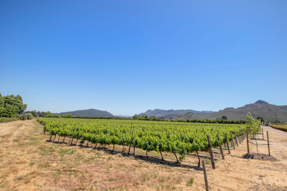 Farm vacant land for sale in Franschhoek Rural - FWI1719847