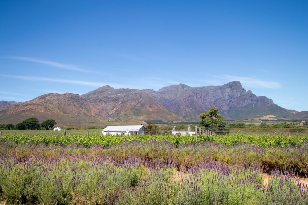 Farm vacant land for sale in Franschhoek Rural - FWI1719847