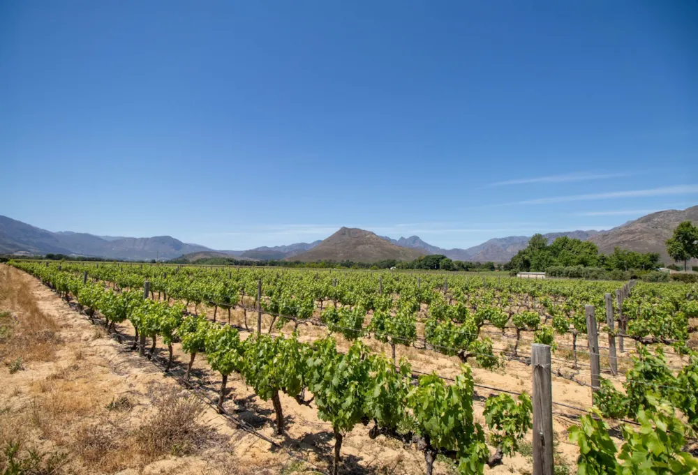 Farm vacant land for sale in Franschhoek Rural - FWI1719847 Farm vacant land for sale in Franschhoek Rural - FWI1719847