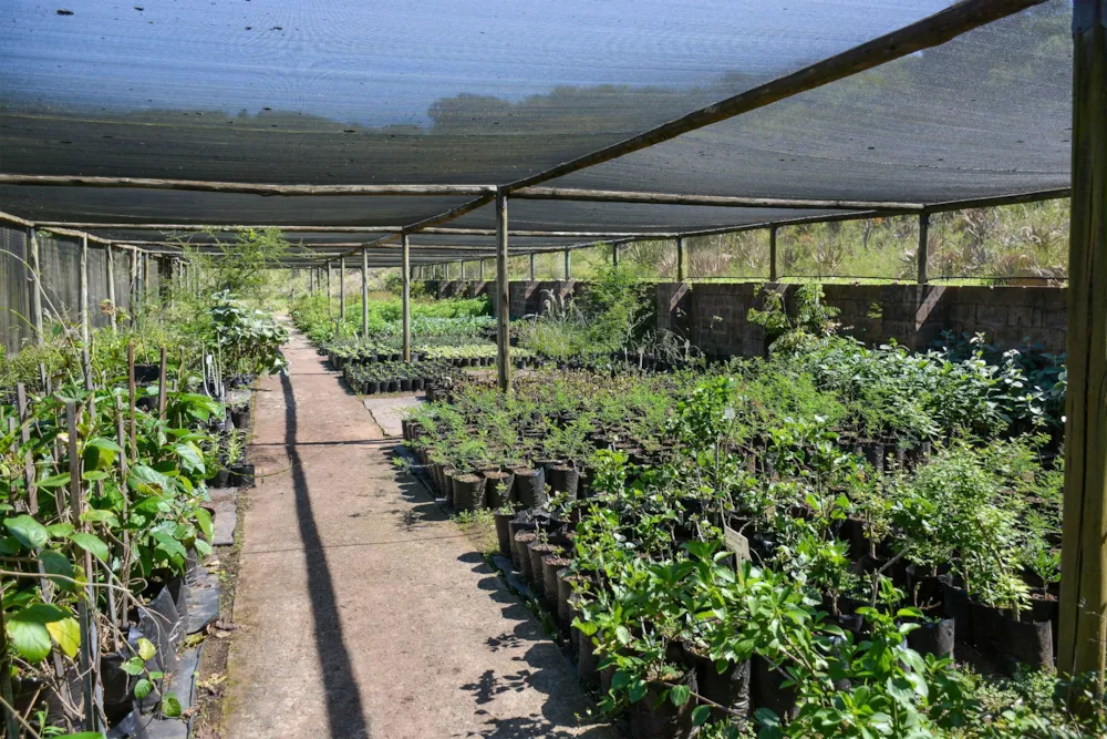 Mixed use farm for sale in Camperdown - 1PM1720203