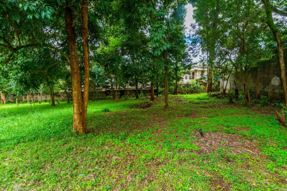 House for sale in Karen, Kenya - 3KE1722876