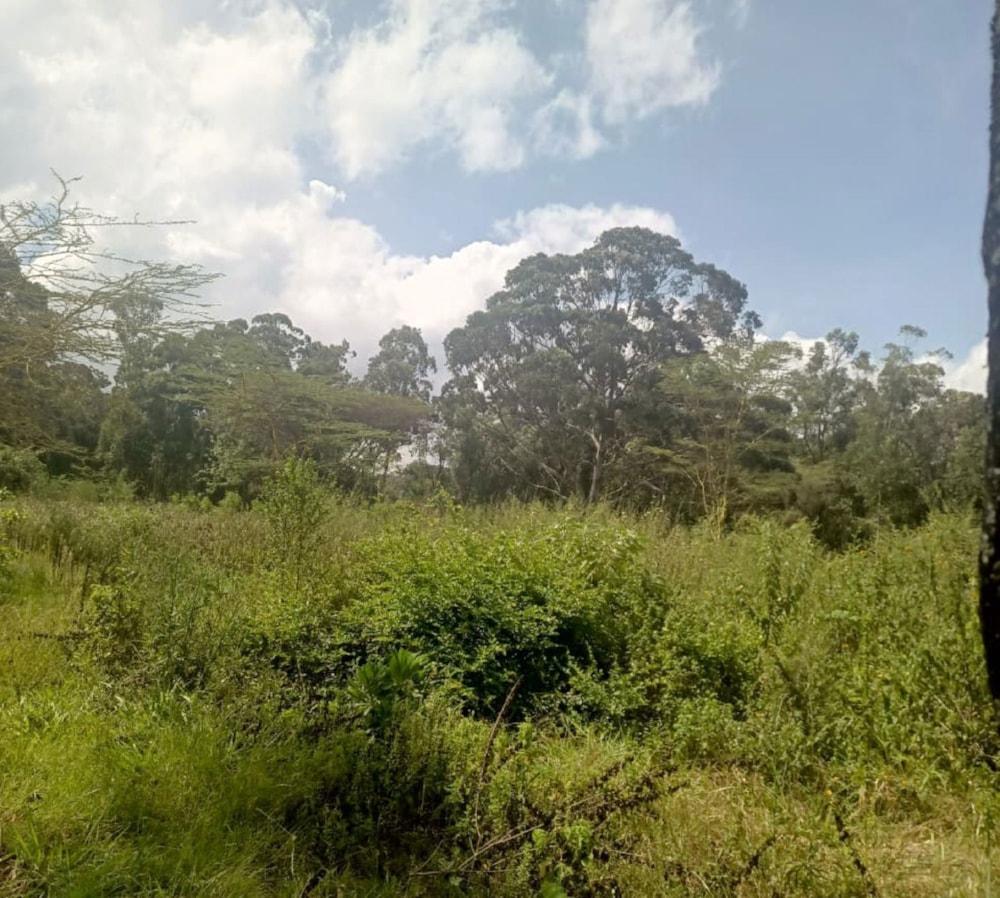 Residential vacant land for sale in Karen, Kenya - 3KE1722895