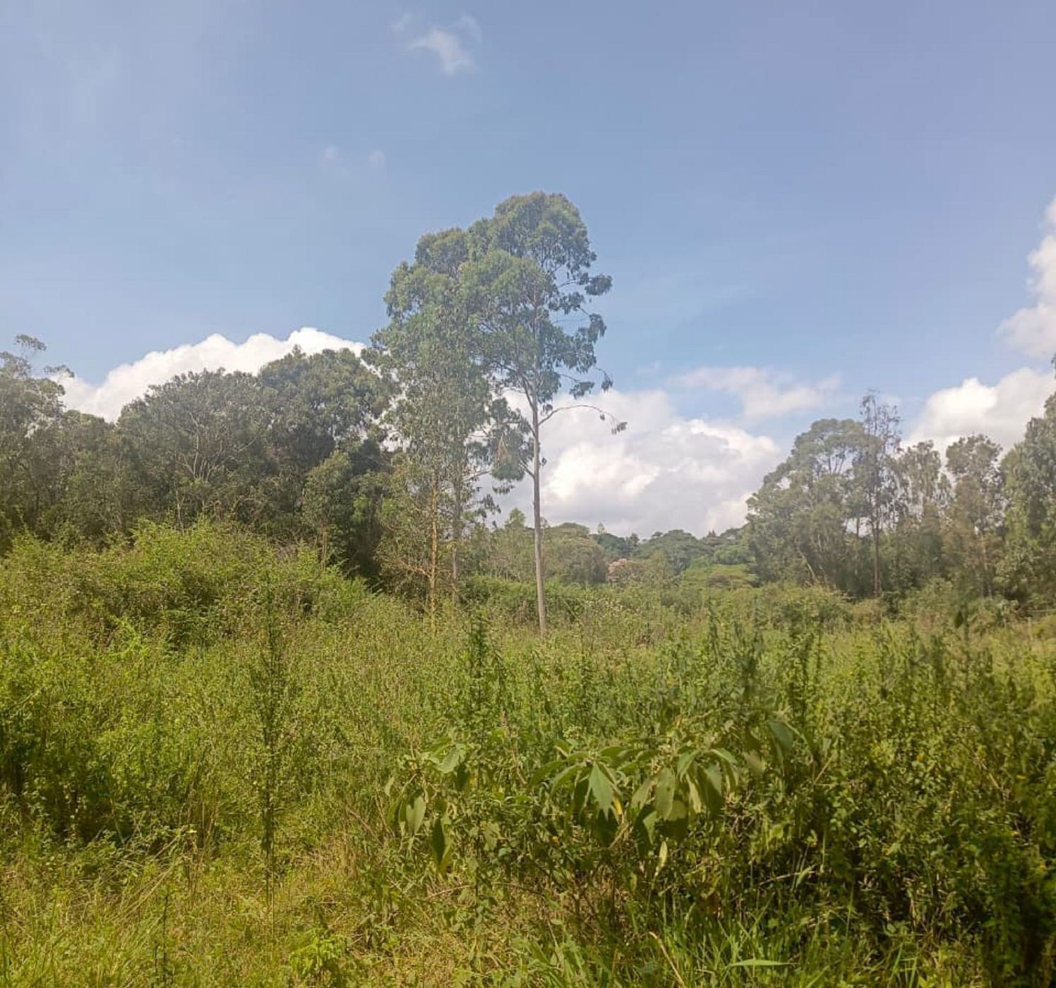 Residential vacant land for sale in Karen, Kenya - 3KE1722895