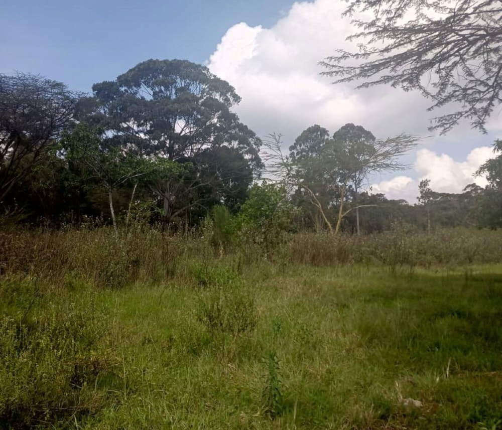 Residential vacant land for sale in Karen, Kenya - 3KE1722894