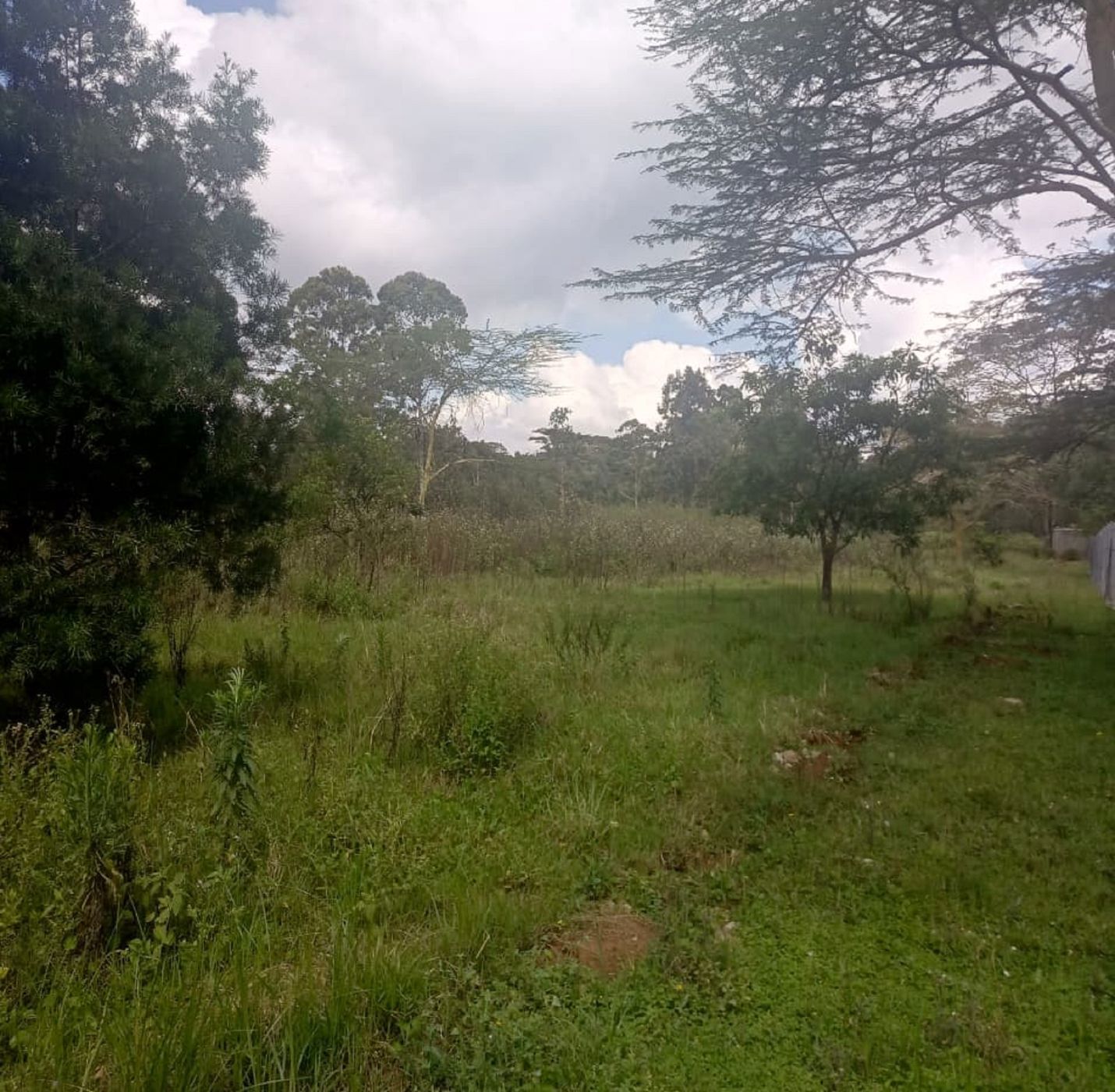 Residential vacant land for sale in Karen, Kenya - 3KE1722894
