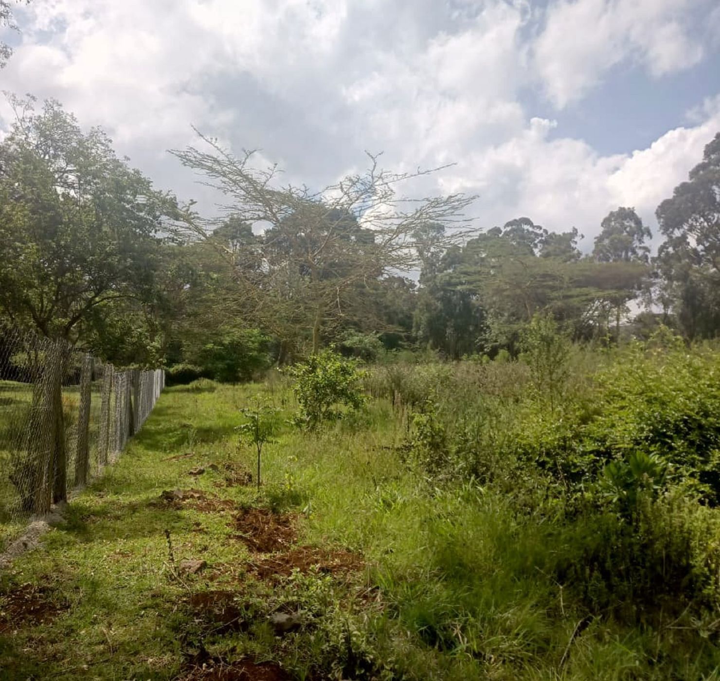 Residential vacant land for sale in Karen, Kenya - 3KE1722893