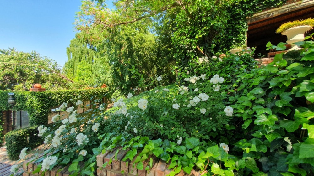 Smallholding for sale in Potchefstroom - 1VT1721743 Smallholding for sale in Potchefstroom - 1VT1721743