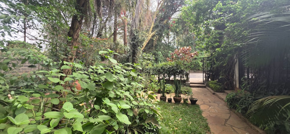 Commercial office for sale in Milimani, Kenya - 3KE1728819