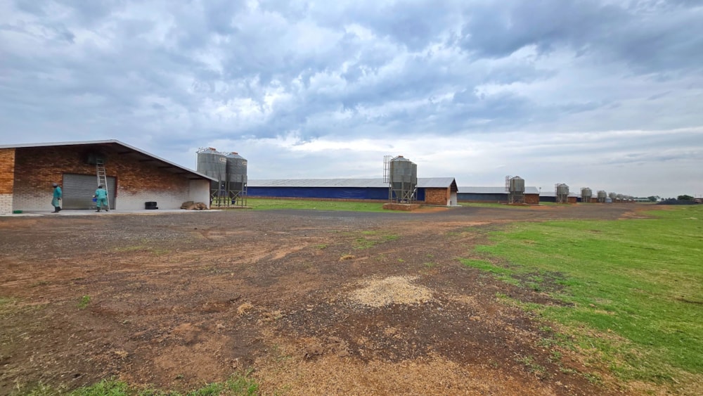 Poultry farm for sale in Bapsfontein - PRN1720909 Poultry farm for sale in Bapsfontein - PRN1720909