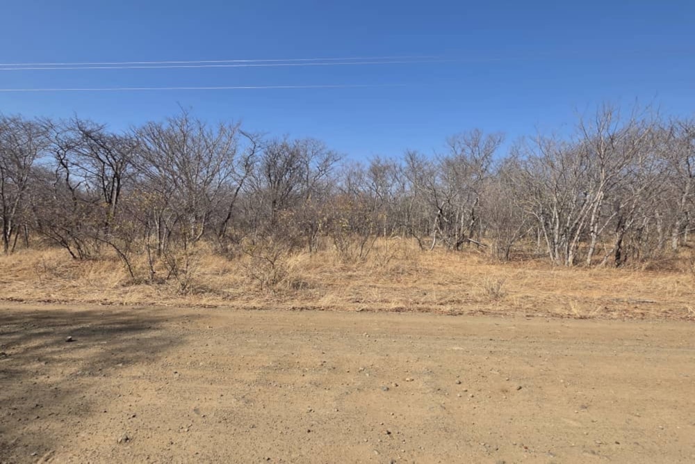 Farm vacant land for sale in Nyamandlovu, Zimbabwe - 3ZB1720677 Farm vacant land for sale in Nyamandlovu, Zimbabwe - 3ZB1720677